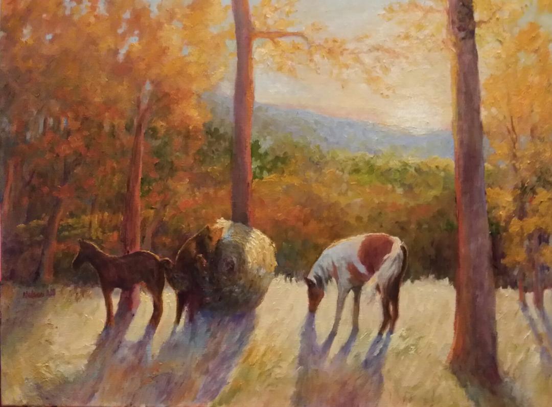 Morning Glory by Sharon Nelson