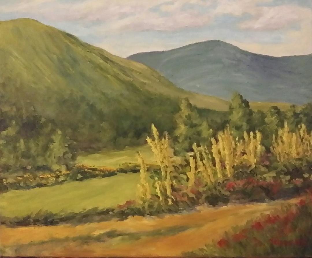 Wild Mullein by Sharon Nelson