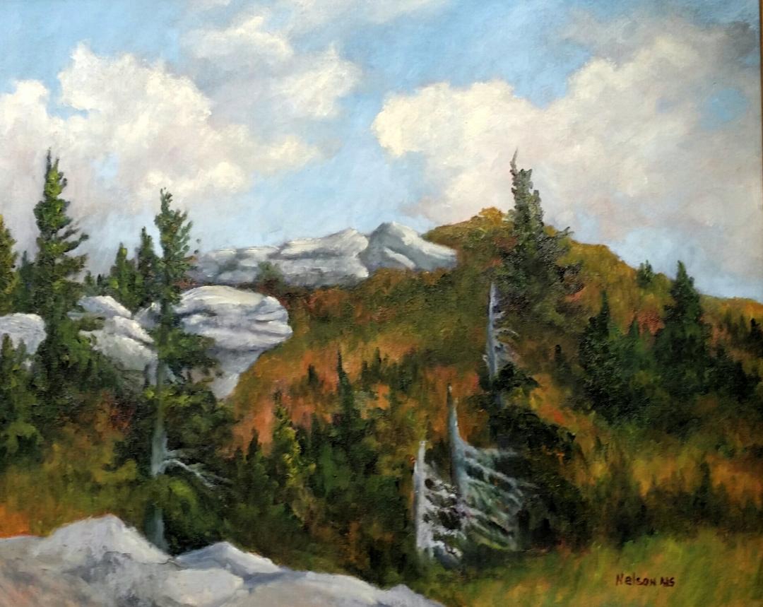 Dolly Sods Splender by Sharon Nelson
