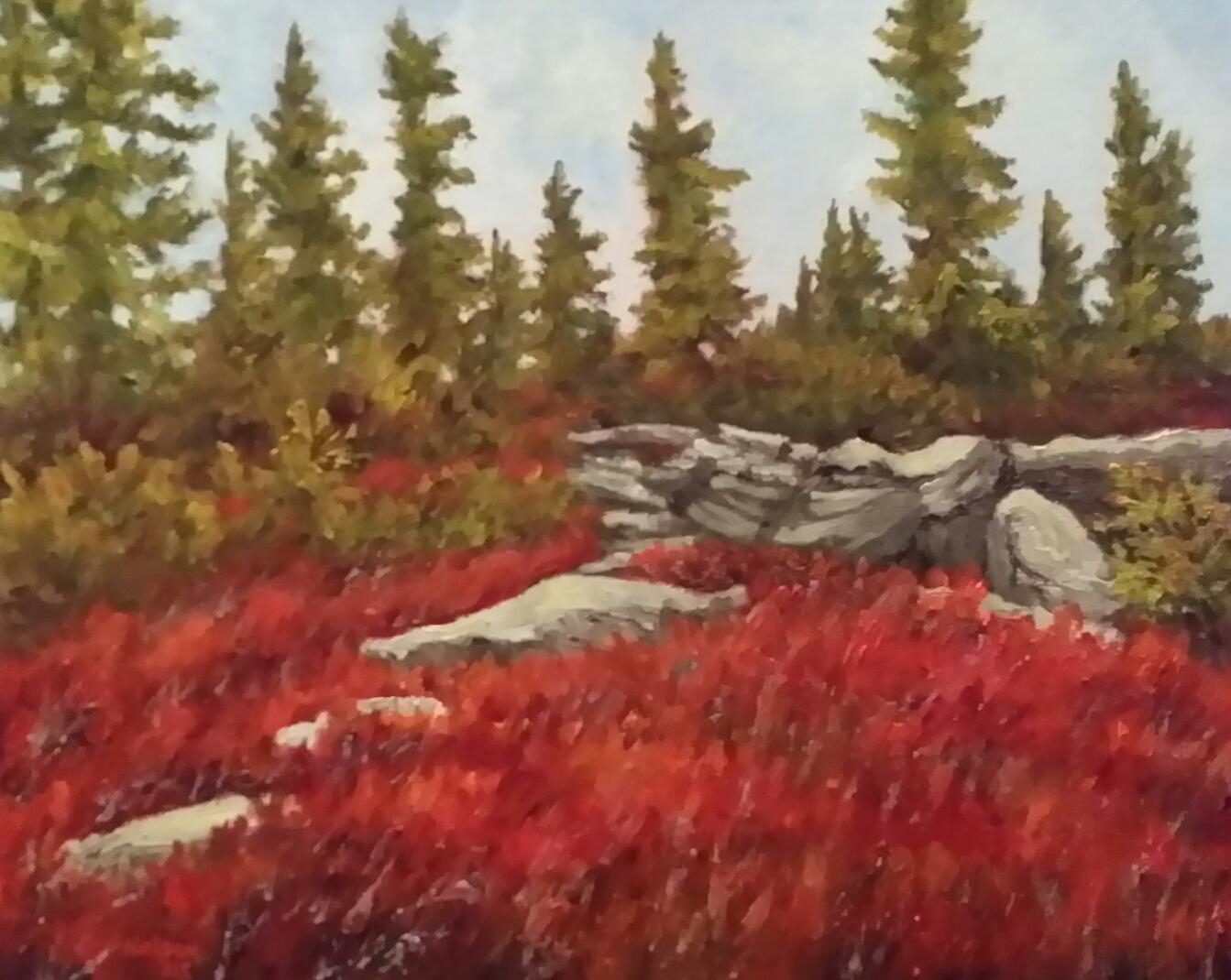 Scarlet on the Mountain by Sharon Nelson