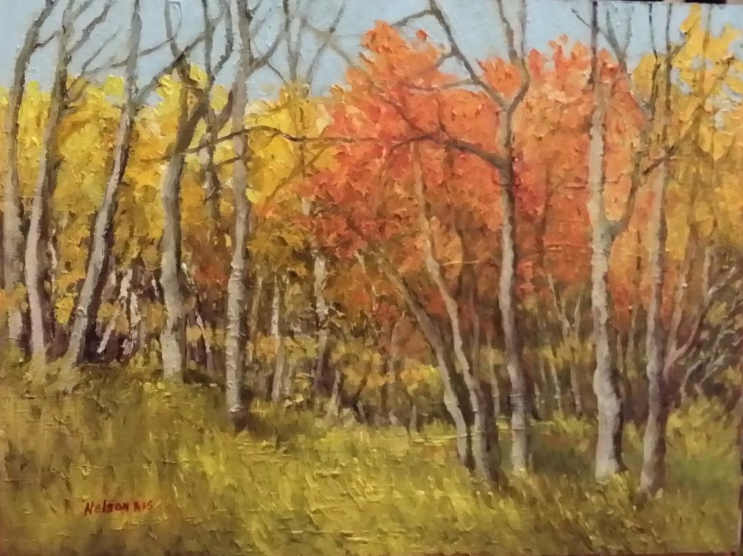 Wood's Edge by Sharon Nelson