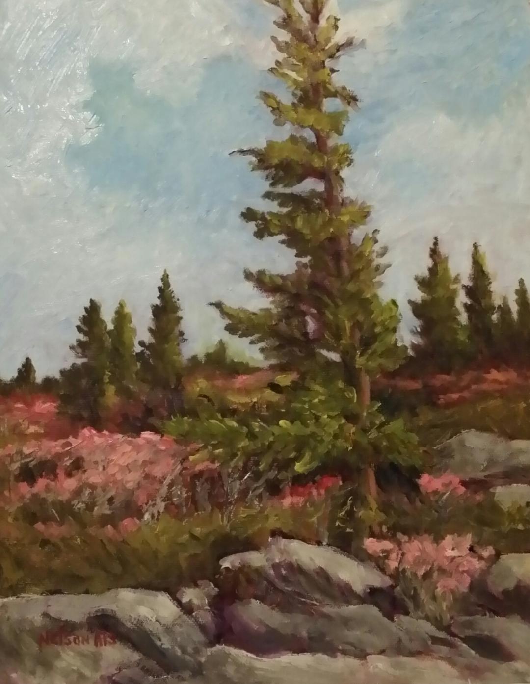 Click here to view Finally Spring by Sharon Nelson